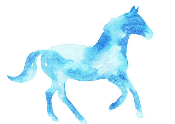 home_courses_new_horse