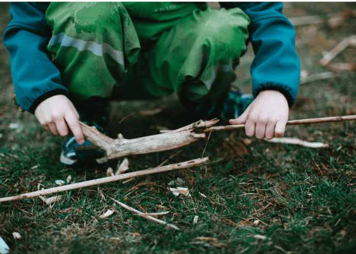 תמונה של טבע