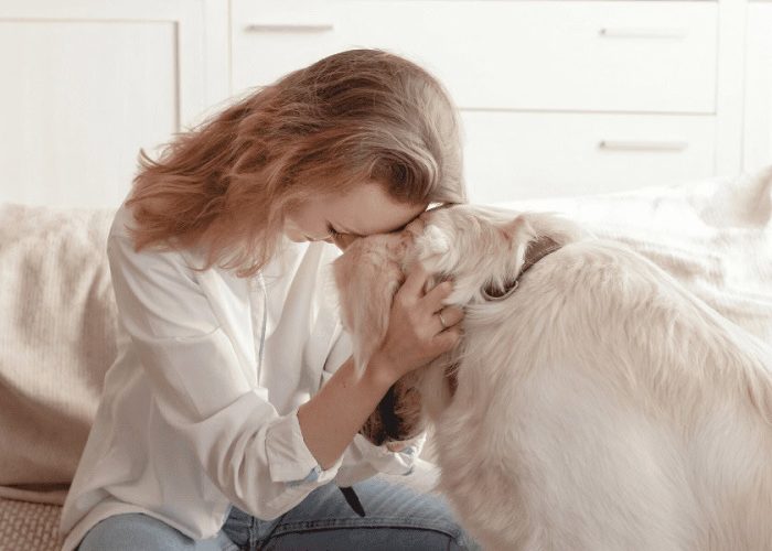 תקשורת עם כלב