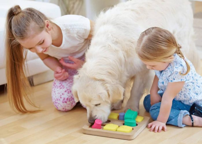 כלבה משחקת עם ילדים