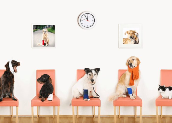 תמונה למגזין 6