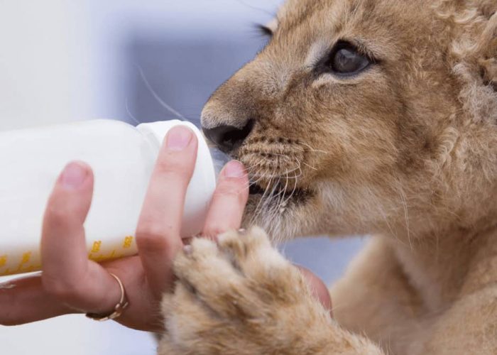 תירות אחראית - תמונה לפוסט