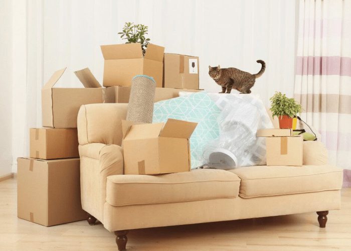 עוברים דירה עם חיות