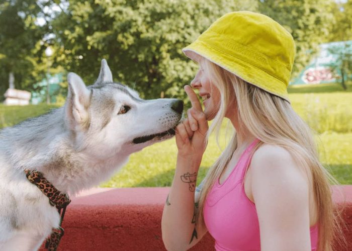 הנהגה בריאה