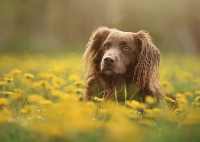 תמונות למגזין (1024 x 1024 px) (1)-min