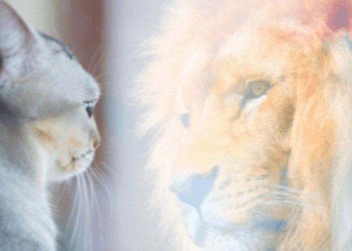 תמונות למגזין (1024 x 1024 px) (3)-min