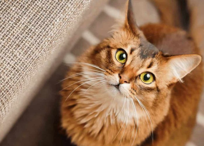 תמונות למגזין (1024 x 1024 px) (4)-min