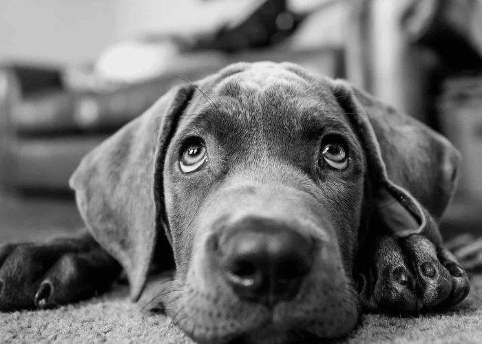 תמונות למגזין (16)-min