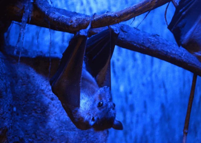 תמונות למגזין (17)-min