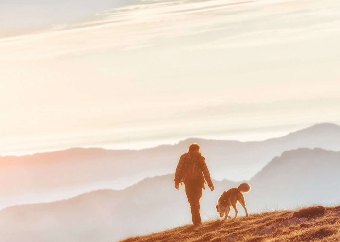 לטייל עם כלבים בדרך שונה