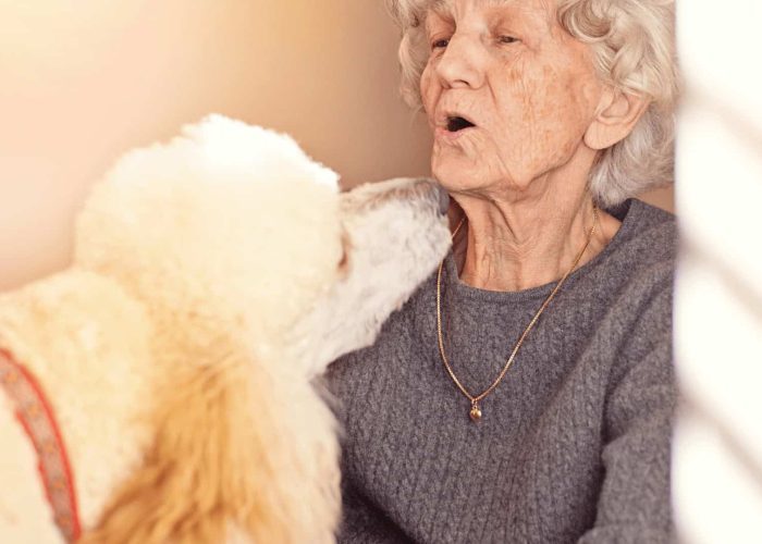 תמונות לבלוג