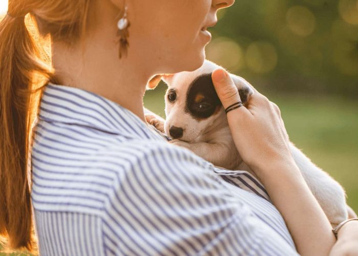 תקשורת טלפתית עם גורים, מה עושים עם גורים
